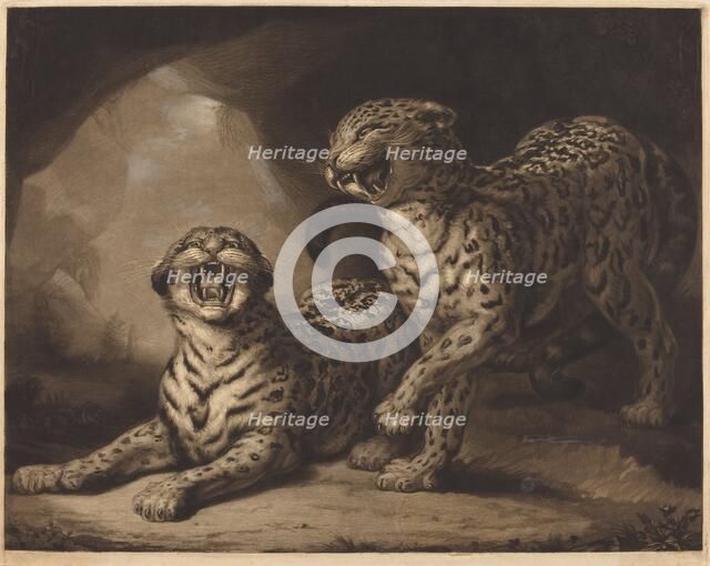 Leopards, 1798. Creator: Samuel William Reynolds.