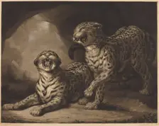 Leopards, 1798. Creator: Samuel William Reynolds