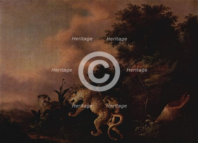 Leopards Attacking a Wild Boar, 1750. Creator: Wenzel Ignaz Prasch.