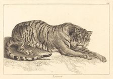 Leopart (Leopard or Tiger). Creator: Jacques Philippe Le Bas