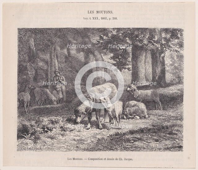 Les Moutons; from Magasin Pittoresque, 1862. Creator: François Rouget.