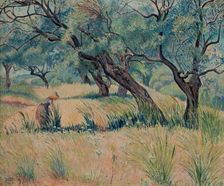 Les Oliviers, (Oliveraie Morning), 1930. Creator: Lucien Pissarro