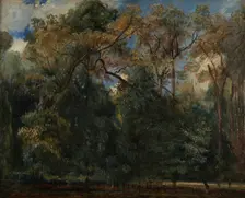 Les ormes de Saint-Cloud, 1823. Creator: Paul Huet