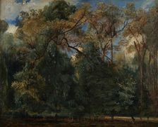 Les ormes de Saint-Cloud, 1823. Creator: Paul Huet