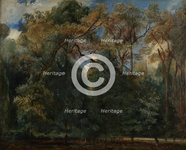 Les ormes de Saint-Cloud, 1823. Creator: Paul Huet.