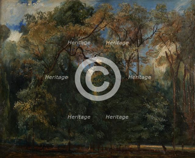 Les ormes de Saint-Cloud, 1823. Creator: Paul Huet.