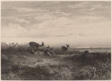 Les biches. Creator: Karl Bodmer
