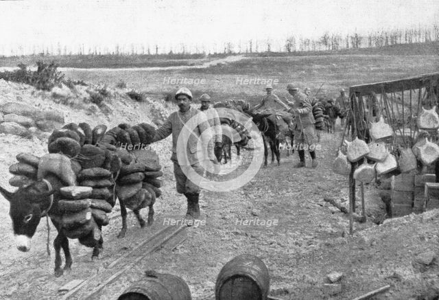 'Les Bourriquots de ravitaillement; dans le region de Verdun, les bourriquots, conduits par..., 1916 Creator: Unknown.
