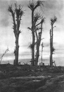 Les calvaire de pressoire, 7 et 8 novembre 1916. Creator: Unknown