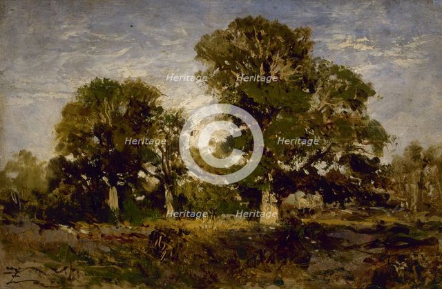 Les chênes, between 1850 and 1860. Creator: Felix Francois Georges Philibert Ziem.