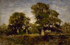 Les chênes, between 1850 and 1860. Creator: Felix Francois Georges Philibert Ziem