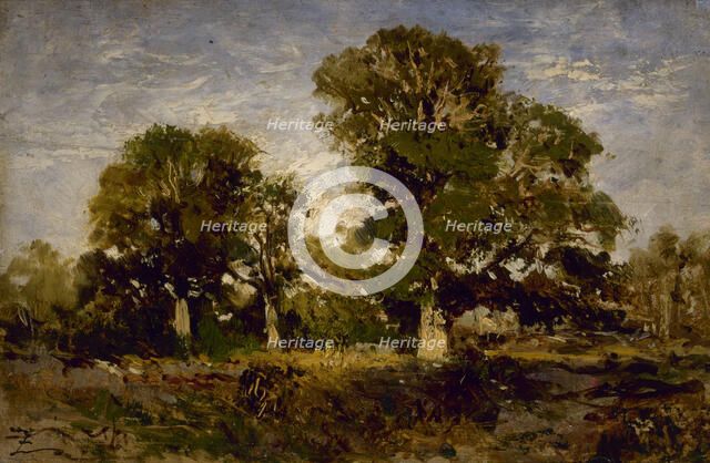 Les chênes, between 1850 and 1860. Creator: Felix Francois Georges Philibert Ziem.