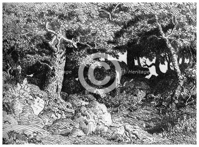 'Les Chenes de Roche', c1832- 1860, (1924). Artist: Theodore Rousseau