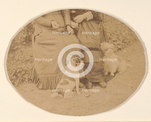 Les Chiens, 1860s. Creator: Pierre-Louis Pierson.