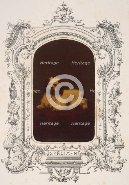 Les Chiens, 1860s. Creator: Pierre-Louis Pierson.