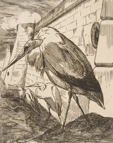 Les Cigognes, 1870s., 1870s. Creator: Felix Bracquemond