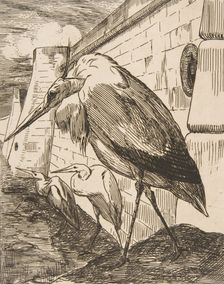 Les Cigognes, 1870s., 1870s. Creator: Felix Bracquemond