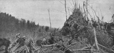 Les derniers combats de l'Hartmannswillerkopf; le rocher d'Hirzenstein, sur le versant..., 1916. Creator: Unknown