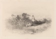 Les Deux Herons. Creator: Karl Bodmer