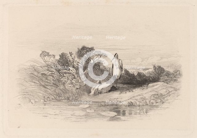 Les Deux Herons. Creator: Karl Bodmer.