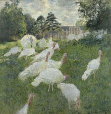 Les dindons