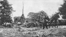Les epaves de l'air; Les debris du zeppelin L-32 abattu a coups de canon, dans la nuit du 23 au 24 Creator: Unknown