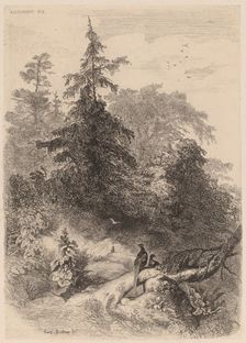 Les Faisans. Creator: Karl Bodmer