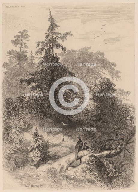 Les Faisans. Creator: Karl Bodmer.