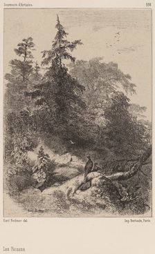 Les Faisans. Creator: Karl Bodmer
