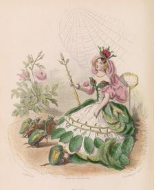 Les Fleurs Animées, 1867. Creator: Charles-Michel Geoffroy