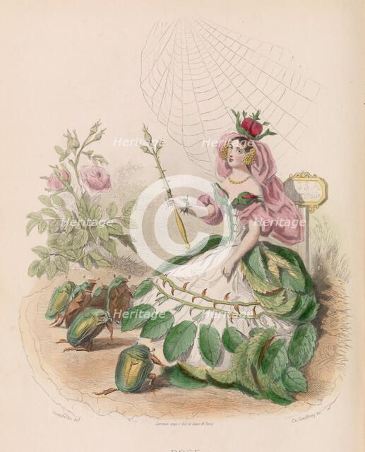 Les Fleurs Animées, 1867. Creator: Charles-Michel Geoffroy.
