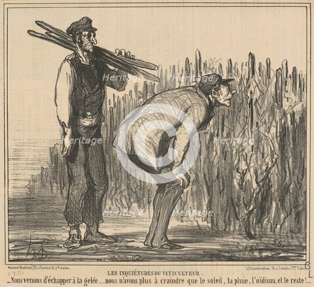 Les inqiétudes du viticulteur, 19th century. Creator: Honore Daumier.