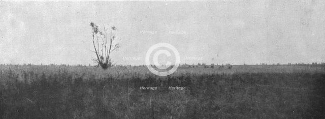 'Les Journees glorieuses de la Somme; La progression du 12 septembre, a l'est de Clery..., 1916. Creator: Unknown.