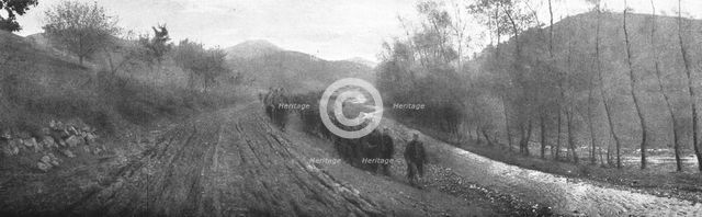 'Les phases de la Retraite de la Deuxieme armee Serbe, de la frontiere Bulgare au..., 1916. Creator: Samson Tchernoff.
