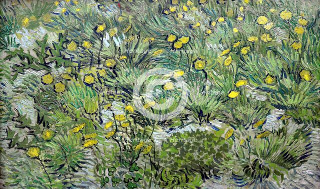 Les pissenlits (Dandelions), 1889. Creator: Gogh, Vincent, van (1853-1890).