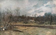 Les pommiers coupes a Cuts (Oise) 1917. Creator: Francois Flameng
