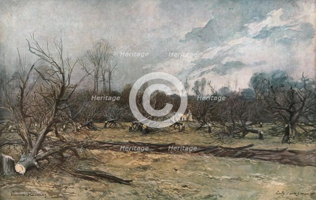 'Les pommiers coupes a Cuts (Oise)', 1917. Creator: Francois Flameng.