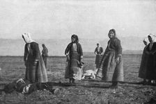 Les premieres victimes des aeroplanes allemands, le 30 decembre : deux moutons..., 1915. Creator: Unknown