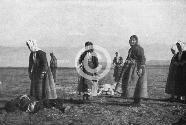 'Les premieres victimes des aeroplanes allemands, le 30 decembre : deux moutons..., 1915. Creator: Unknown.