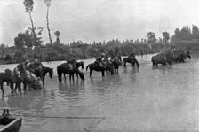 les premieres operations Italiennes; cavalerie italienne abreuve ses chevaux dans l'Isonzo 1915. Creator: Unknown