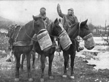 Les precautions contre les gaz; Les chevaux ont aussi leur appareil special 1917. Creator: Unknown