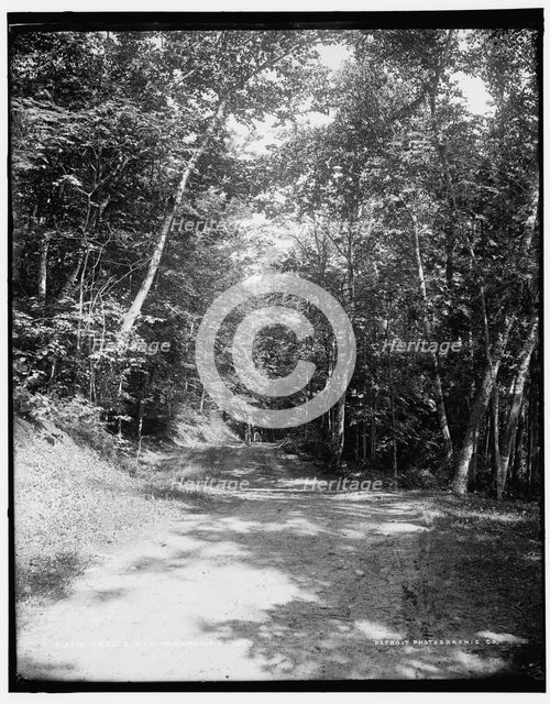 Leslie Ave., Mackinac Isl'd, between 1890 and 1901. Creator: Unknown.