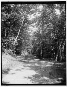 Leslie Ave., Mackinac Isl'd, between 1890 and 1901. Creator: Unknown