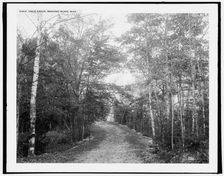 Leslie Avenue, Mackinac Island, Mich., (1902?). Creator: William H. Jackson