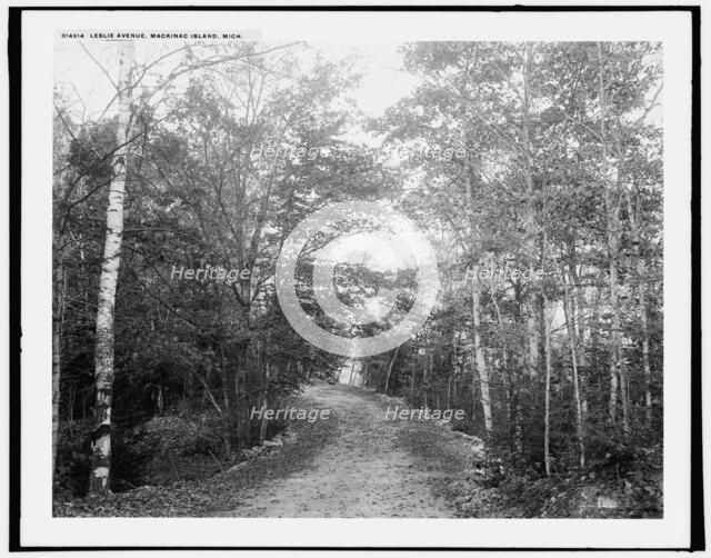 Leslie Avenue, Mackinac Island, Mich., (1902?). Creator: William H. Jackson.