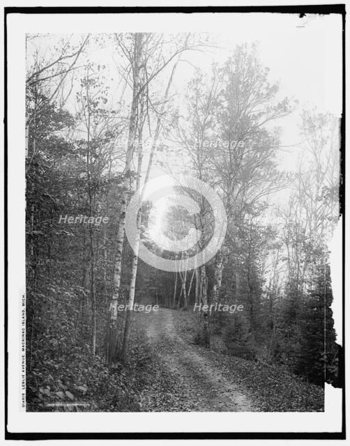 Leslie Avenue, Mackinac Island, Mich., c1902. Creator: William H. Jackson.