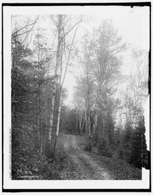 Leslie Avenue, Mackinac Island, Mich., c1902. Creator: William H. Jackson