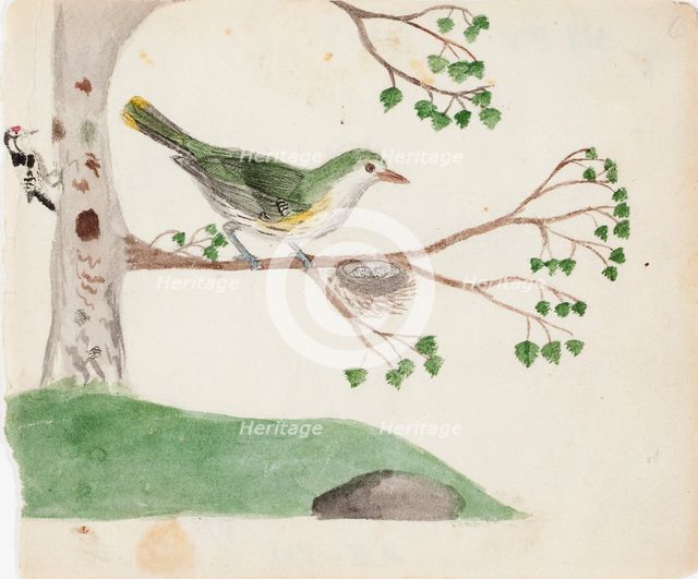 Lesser Spotted Woodpecker (male) and Eurasian Golden Oriole (female), 1830. Creator: Ferdinand von Wright.