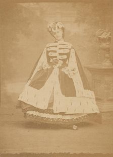 L'hermine, 1860s. Creator: Pierre-Louis Pierson