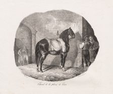 Lithographed Studies of Horses: Pl. 7, Horse from the Caen Plain , 1822. Creator: Théodore Géricault (French, 1791-1824); Gihaut